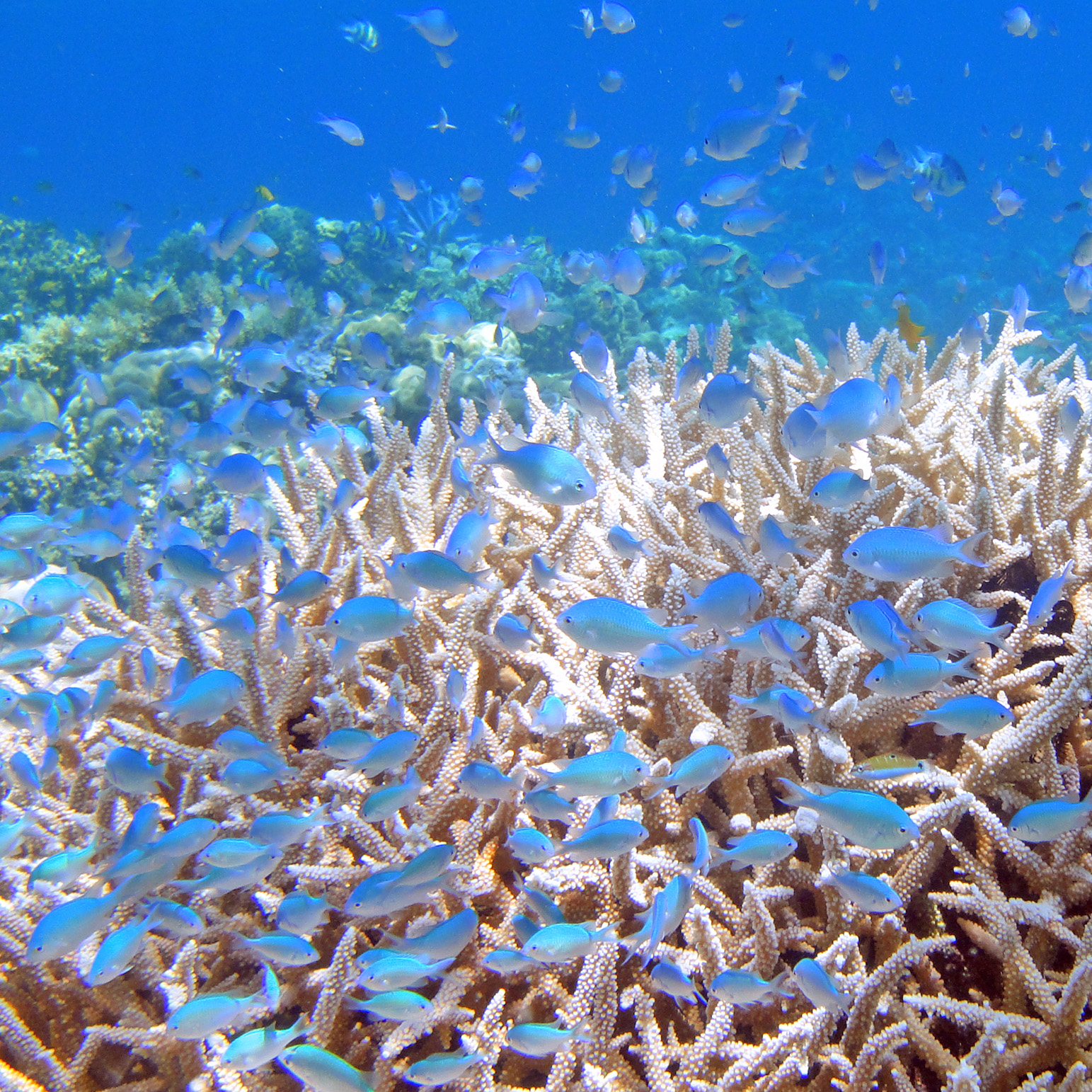 海の環境保全活動
